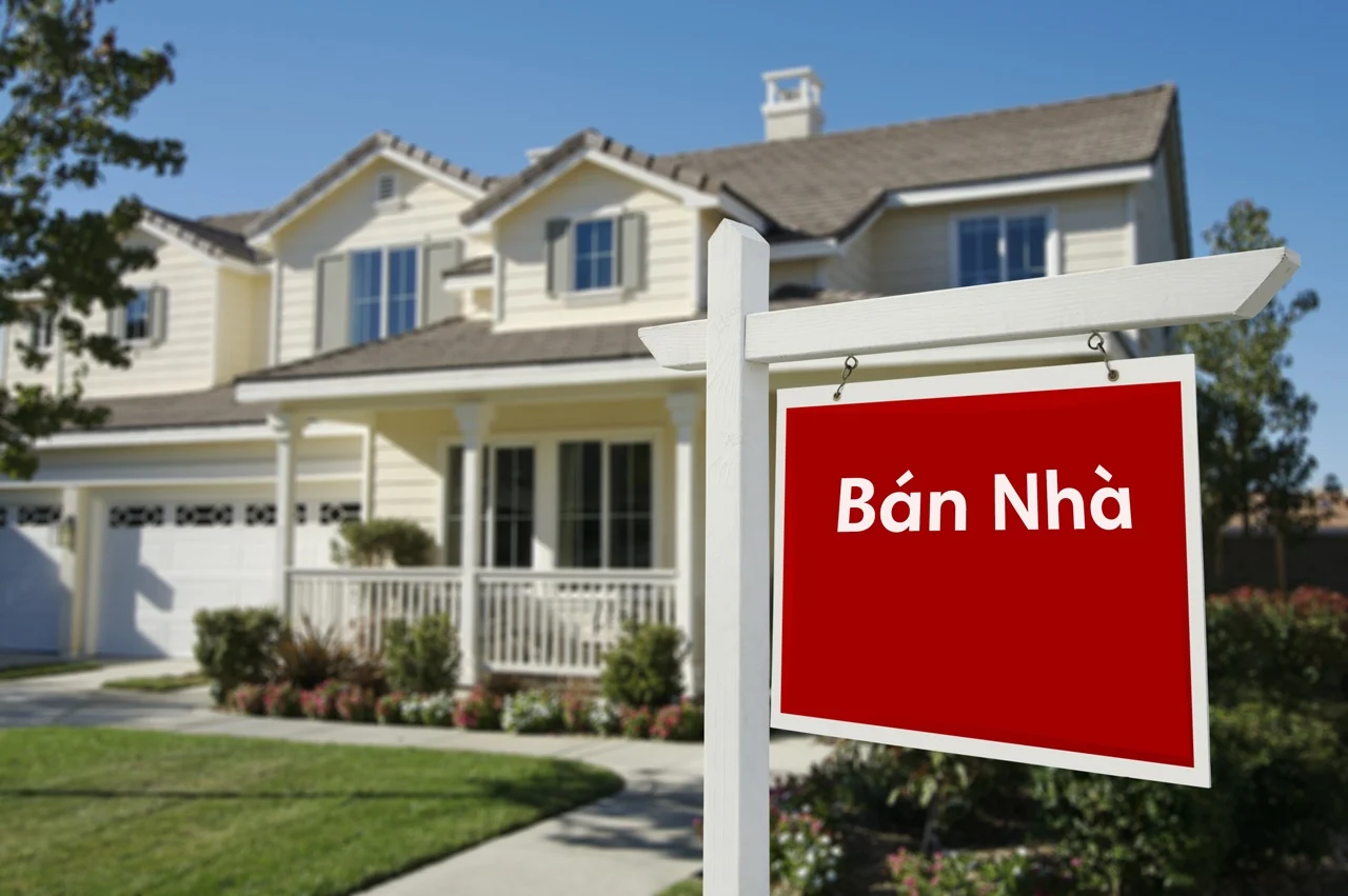  Cần Giờ... Nơi bình yên hay cơn sóng đầu tư? 