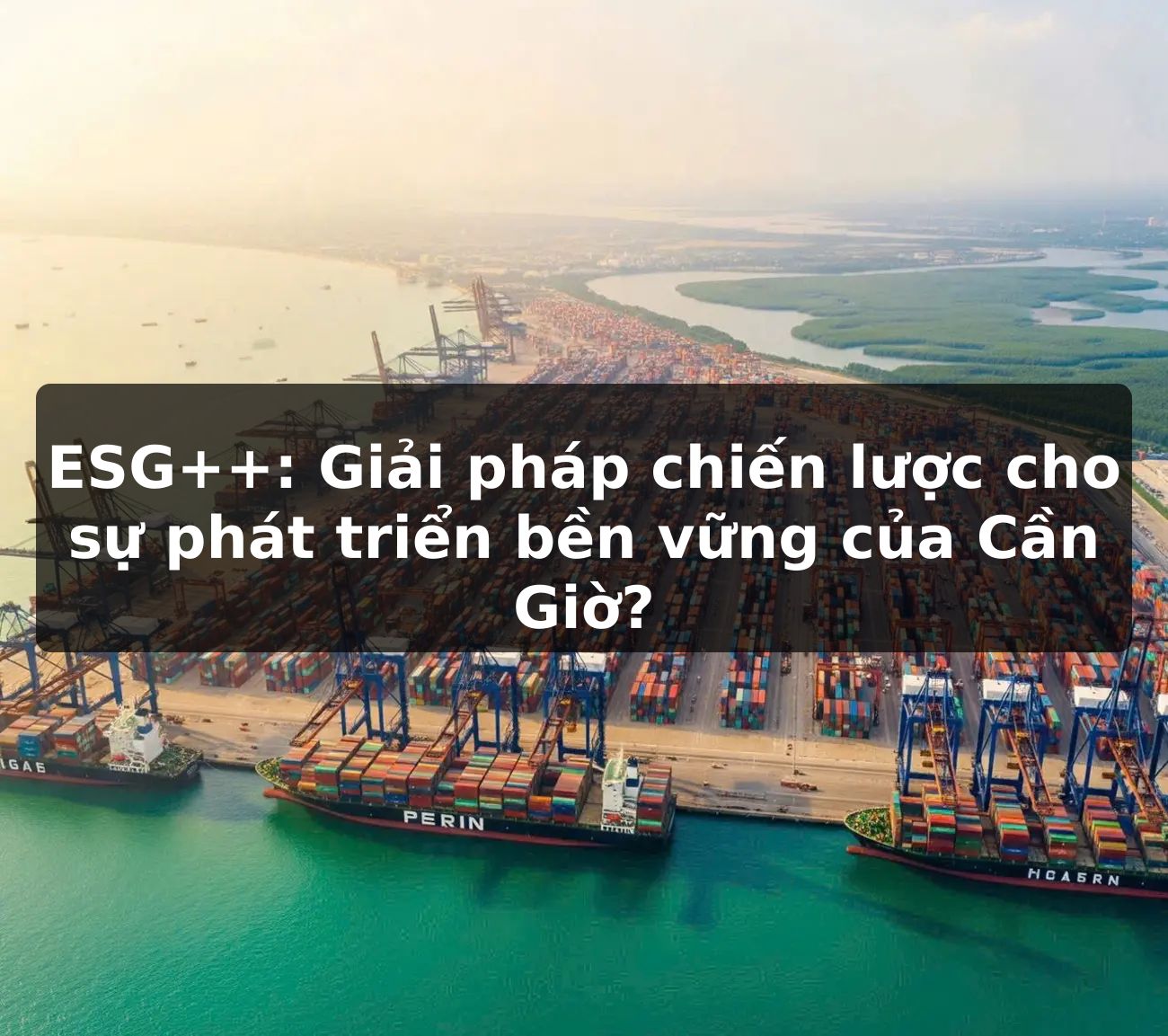 ESG++: Giải pháp chiến lược cho sự phát triển bền vững của Cần Giờ?