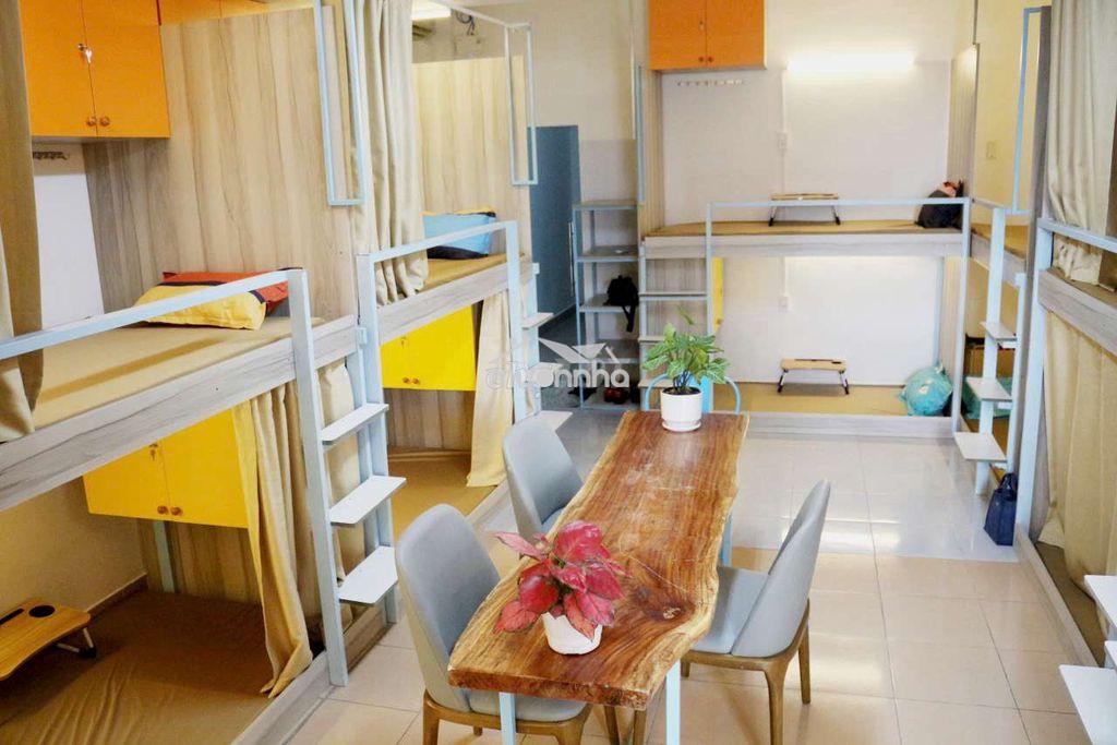 Ở ghép là gì? So sánh chi tiết ở ghép và thuê nguyên căn